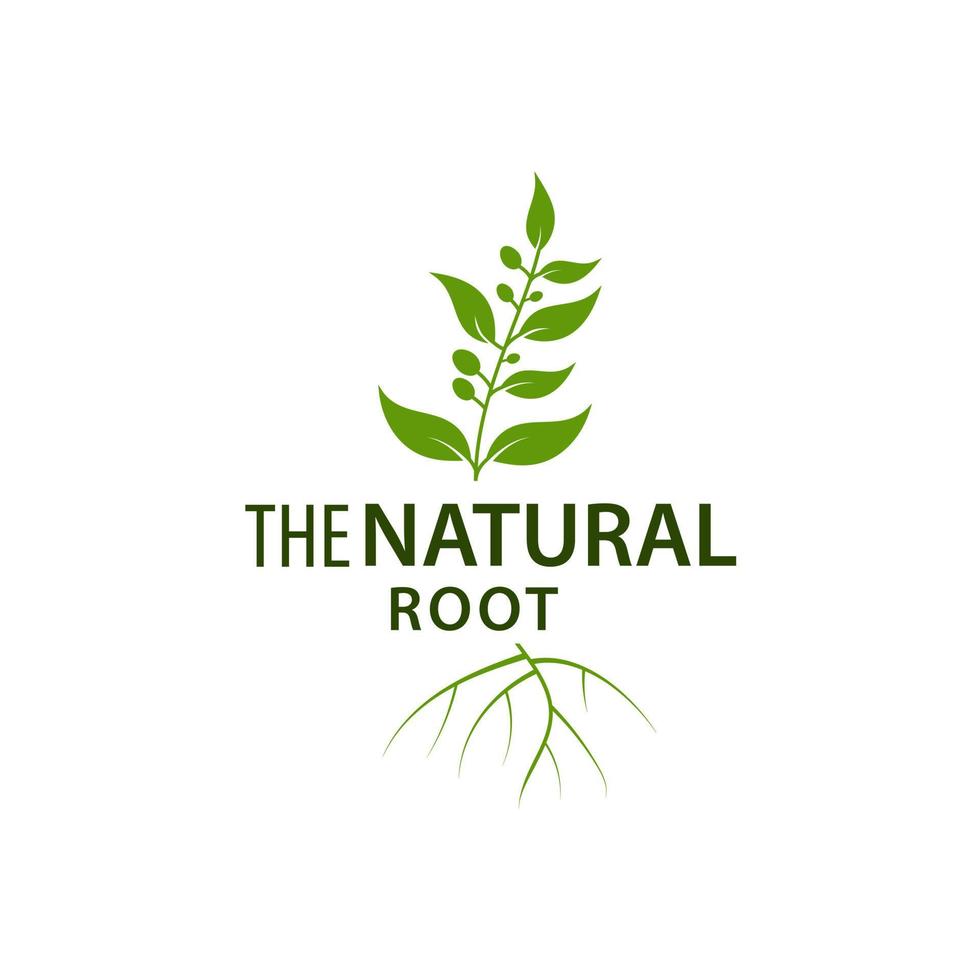 diseño de ilustración de vector de plantilla de árbol natural de logotipo de raíz de hoja