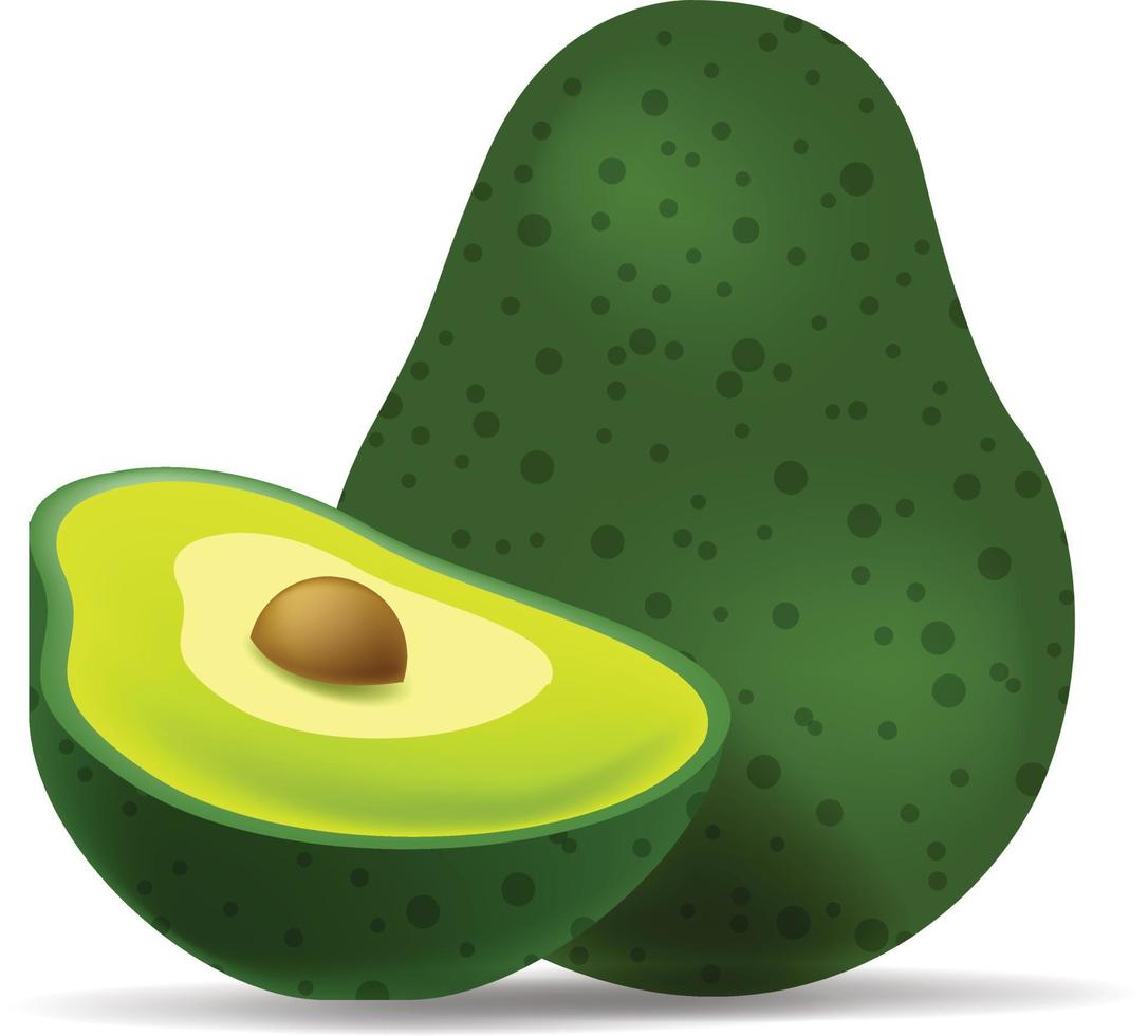 Realistic vector avocados illustration. Whole and cut avocado isolated on white background.