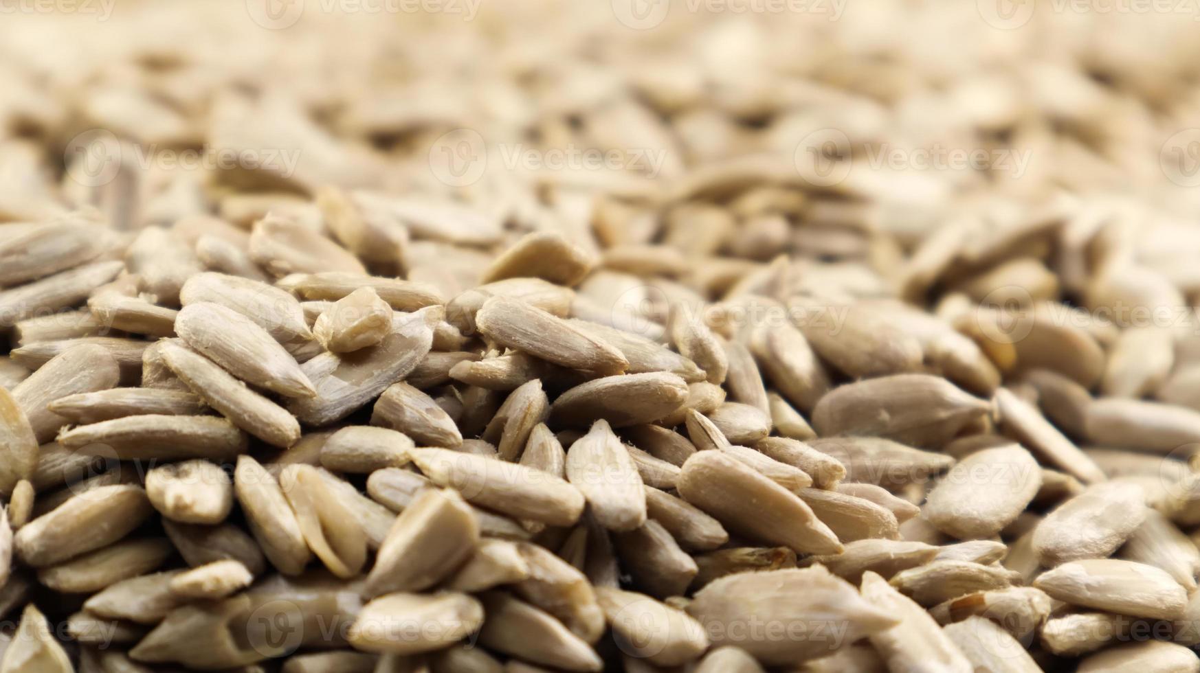 Sunflower seeds, peeled, without shell. Background of peeled not roasted seeds. photo