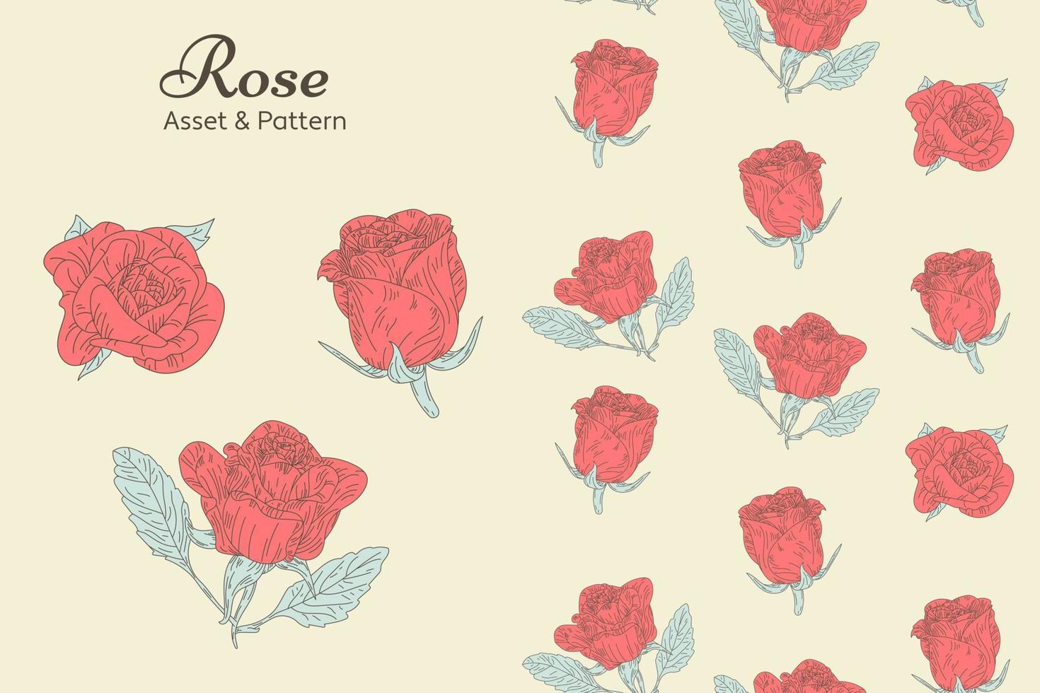 Hand Drawn Rose Flower Vector