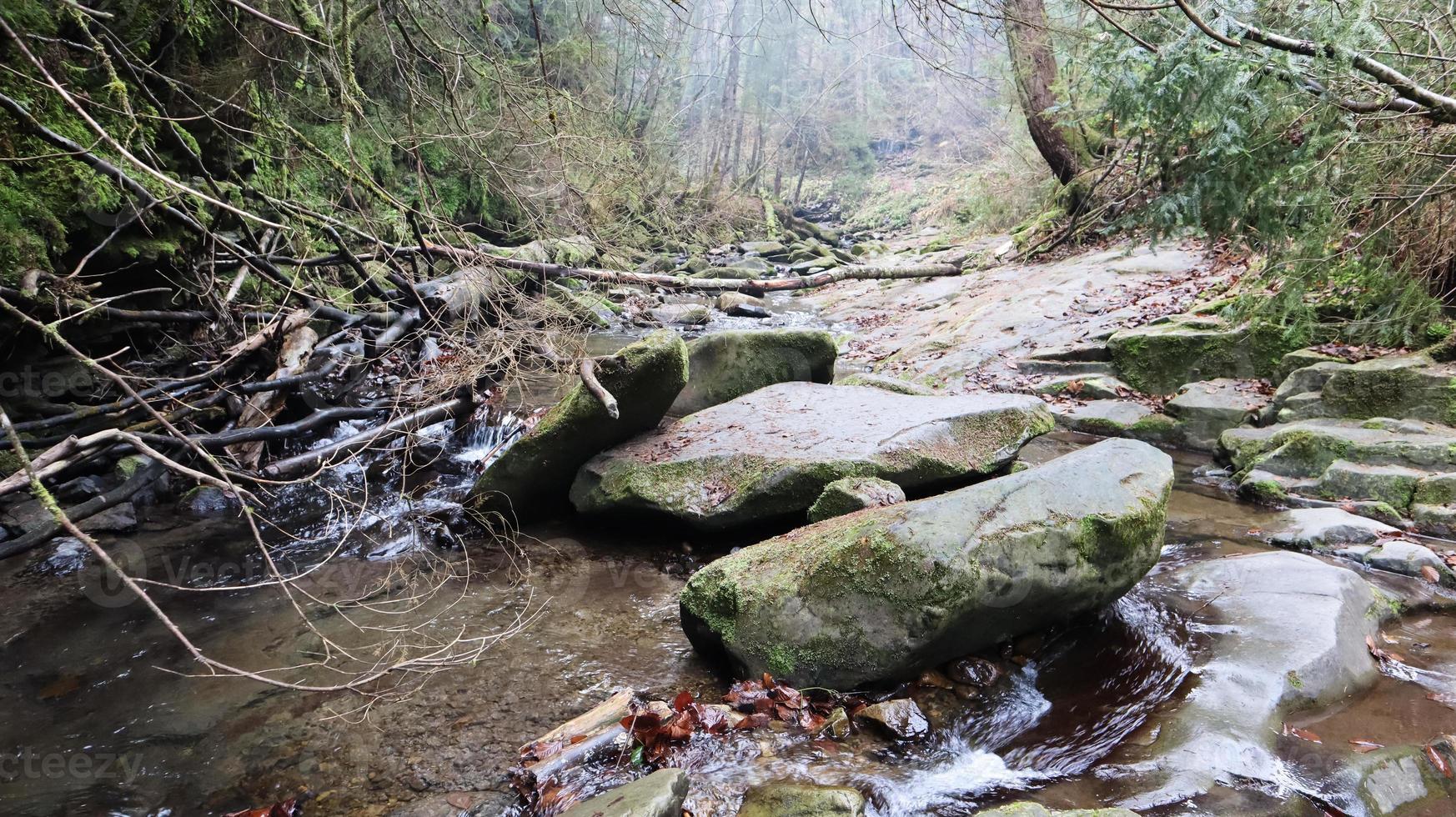 Landscape of a mountain river in the forest in early autumn and late summer. water in a natural stream. beautiful and relaxing forest with a river. River deep in mountain forest. Nature composition. photo