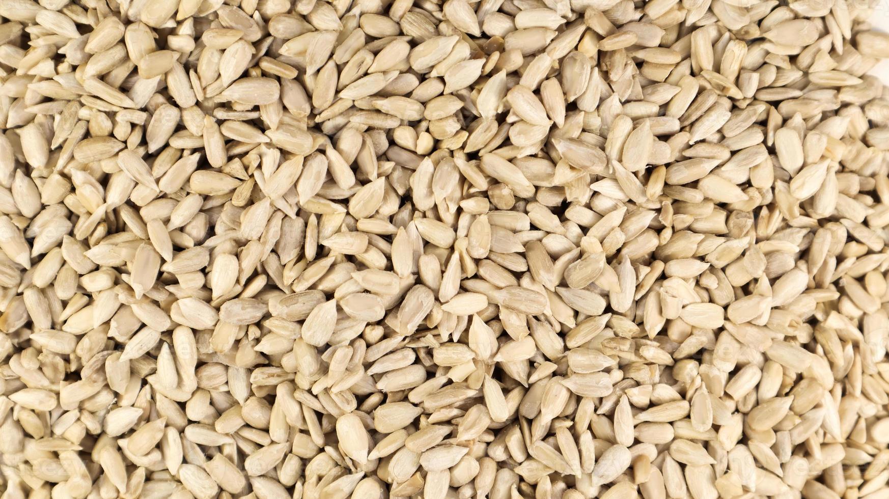 Sunflower seeds, peeled, without shell. Background of peeled not roasted seeds. photo