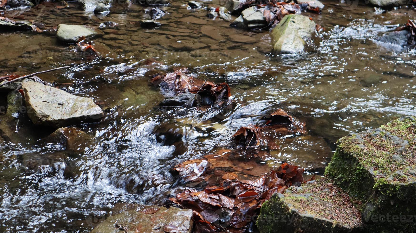 paisaje de un río de montaña en el bosque a principios de otoño y finales de verano. agua en un arroyo natural. bosque hermoso y relajante con un río. río profundo en el bosque de montaña. composición de la naturaleza. foto