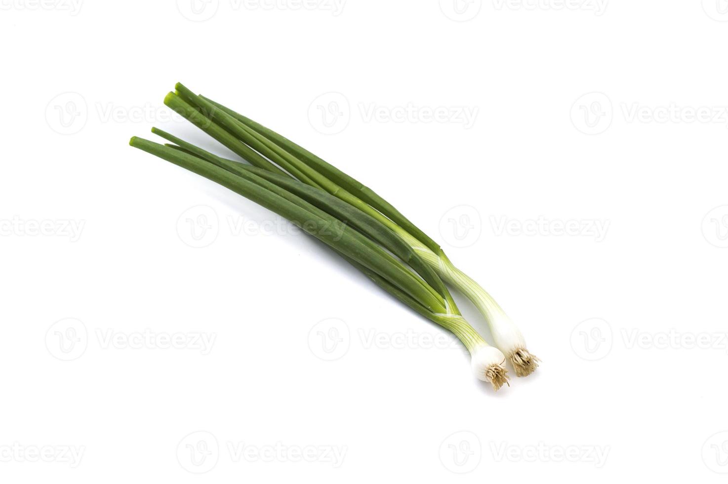 Fresh ripe green spring onions shallots or scallions on white background photo