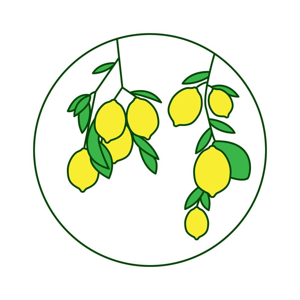 fruit lemon fresh with leaf on tree logo design vector symbol icon illustration