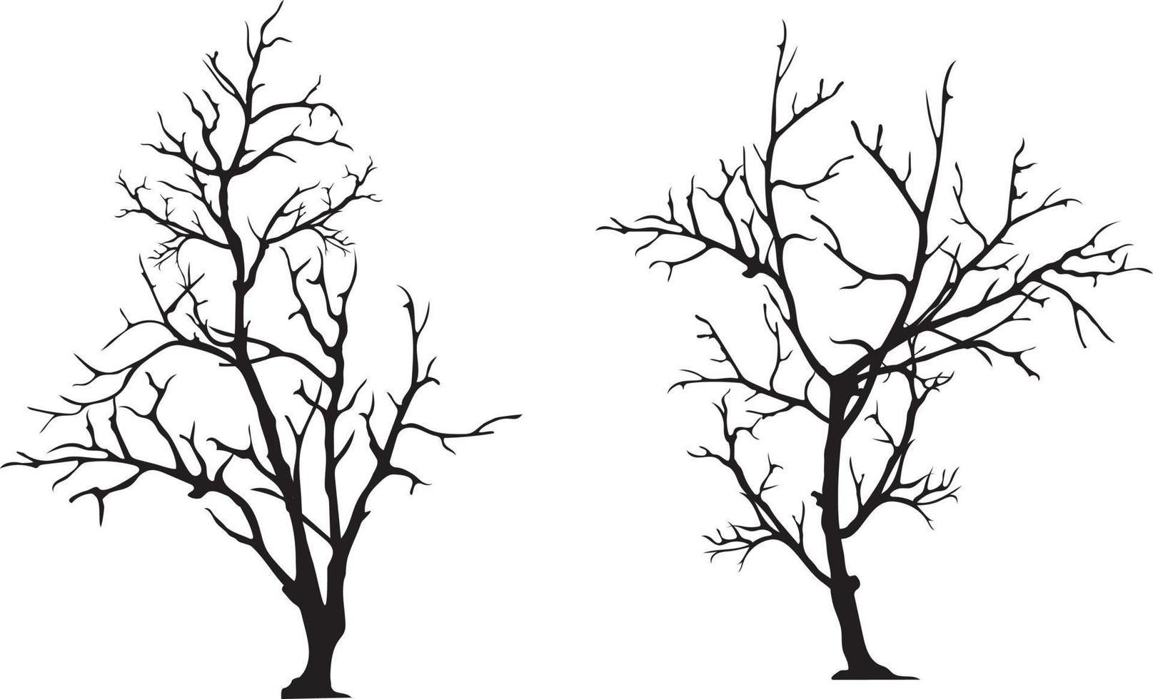 silhouette of tree without leaves vector