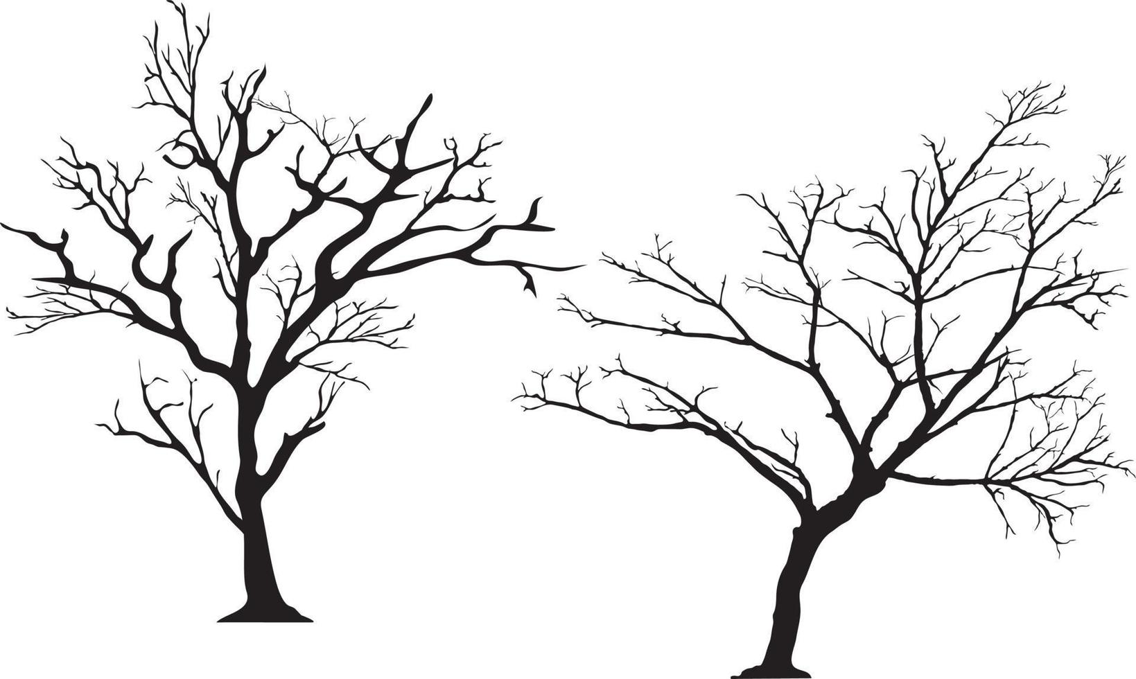 silhouette of tree without leaves vector