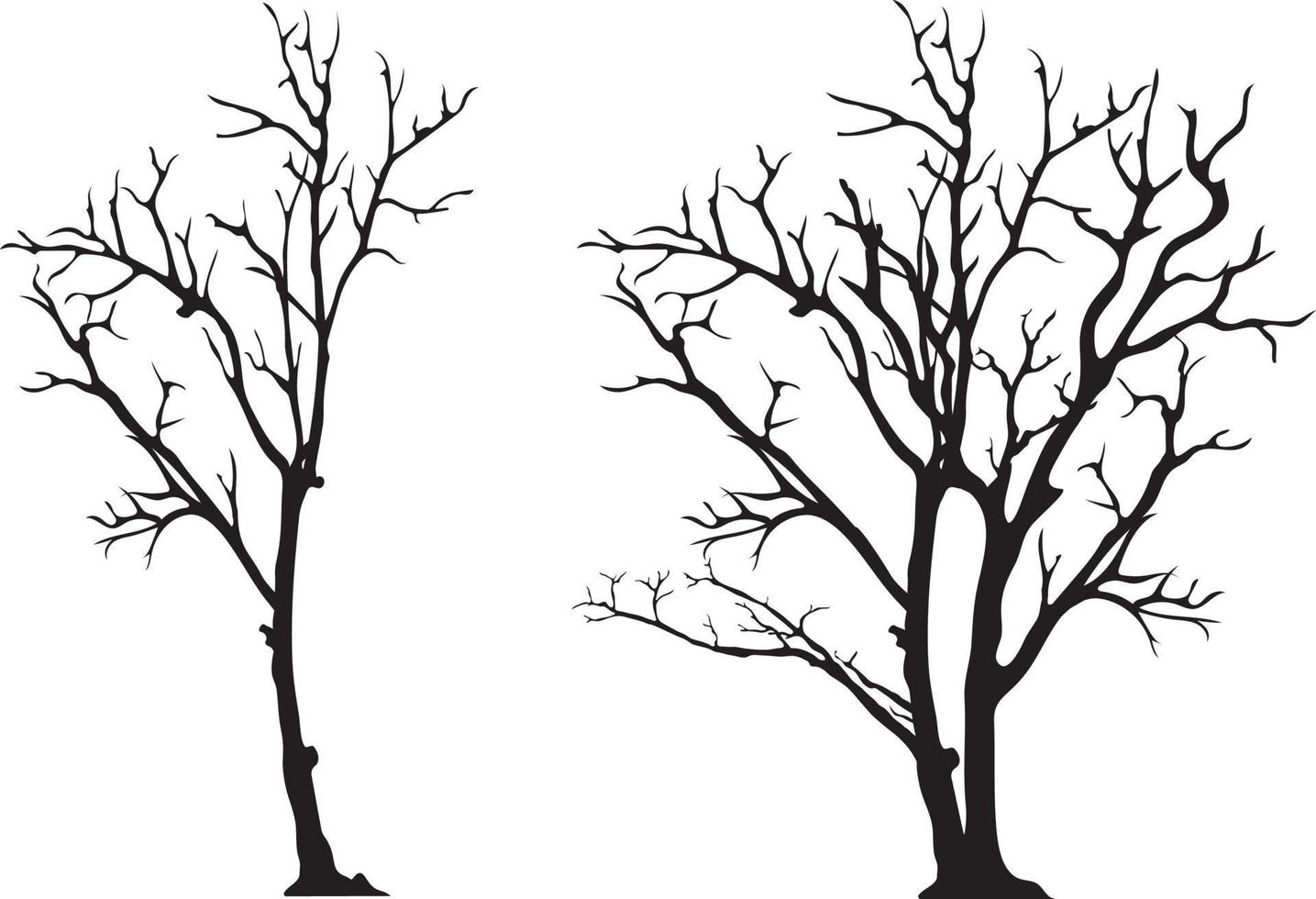 silhouette of tree without leaves vector