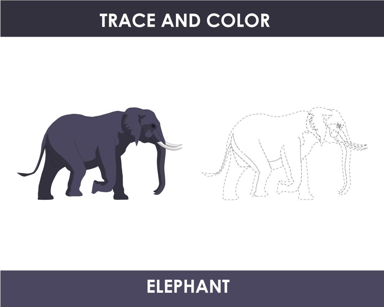 Trace the line and color the picture vector