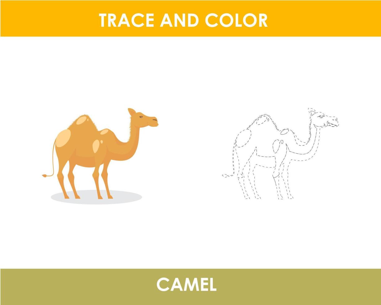 Trace the line and color the picture vector
