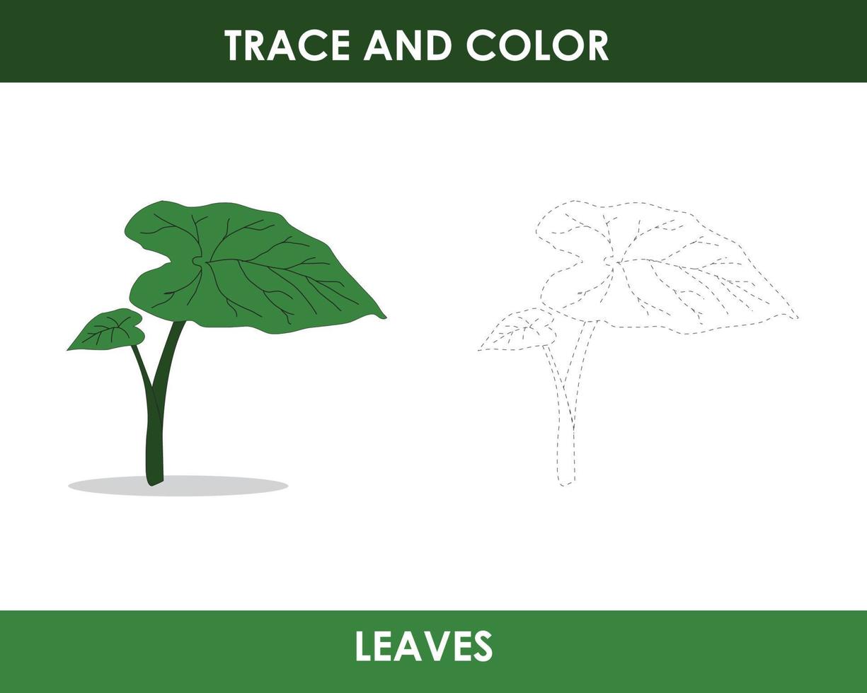 Trace the line and color the picture vector