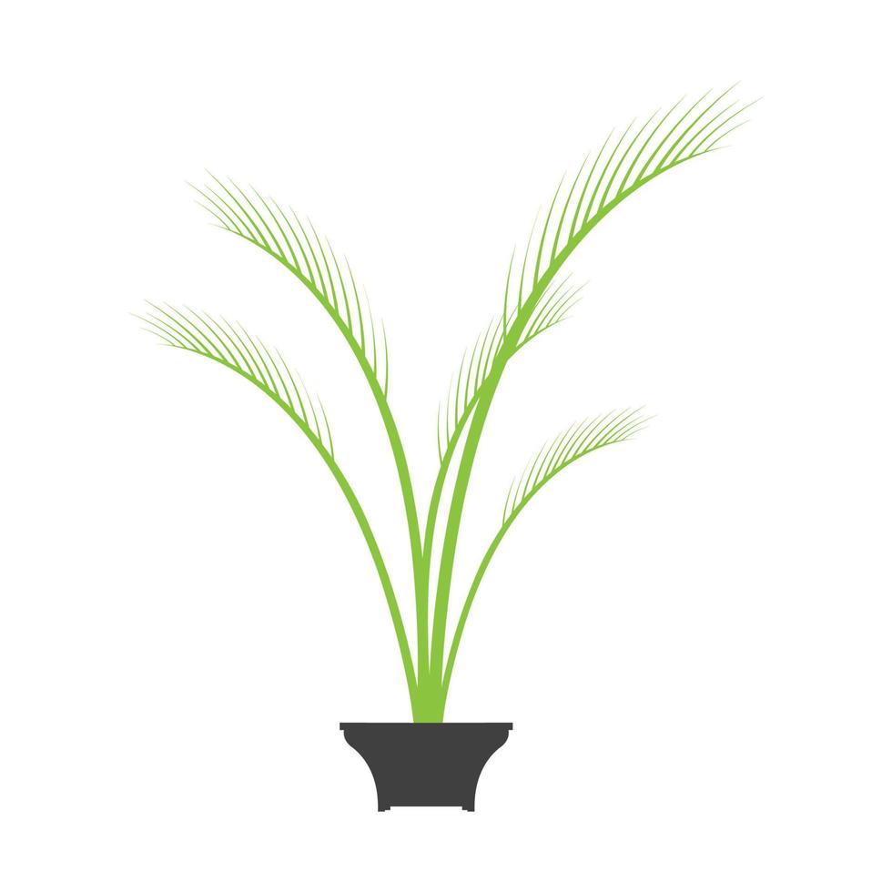 planta phoenix palm logo símbolo vector icono ilustración diseño gráfico