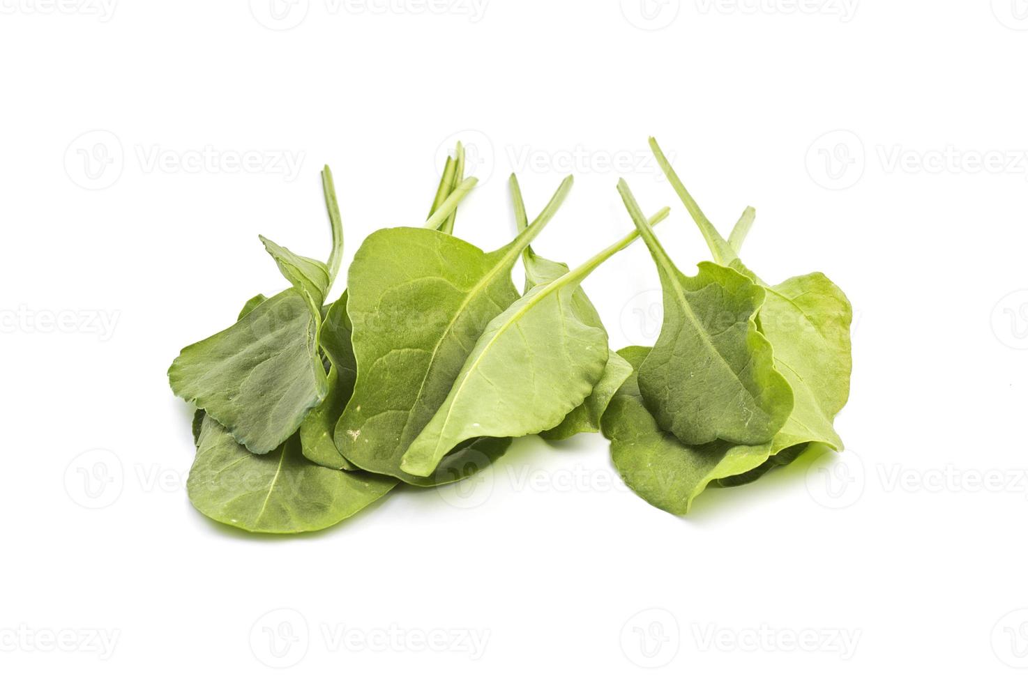 Close up of fresh green spinach isolated on white background photo