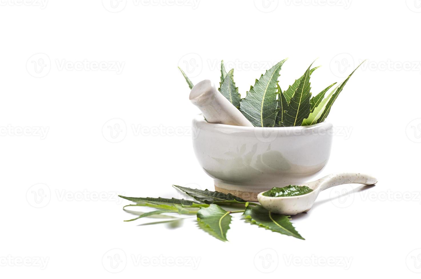 Hojas de neem medicinales en mortero con pasta de neem sobre fondo blanco. foto