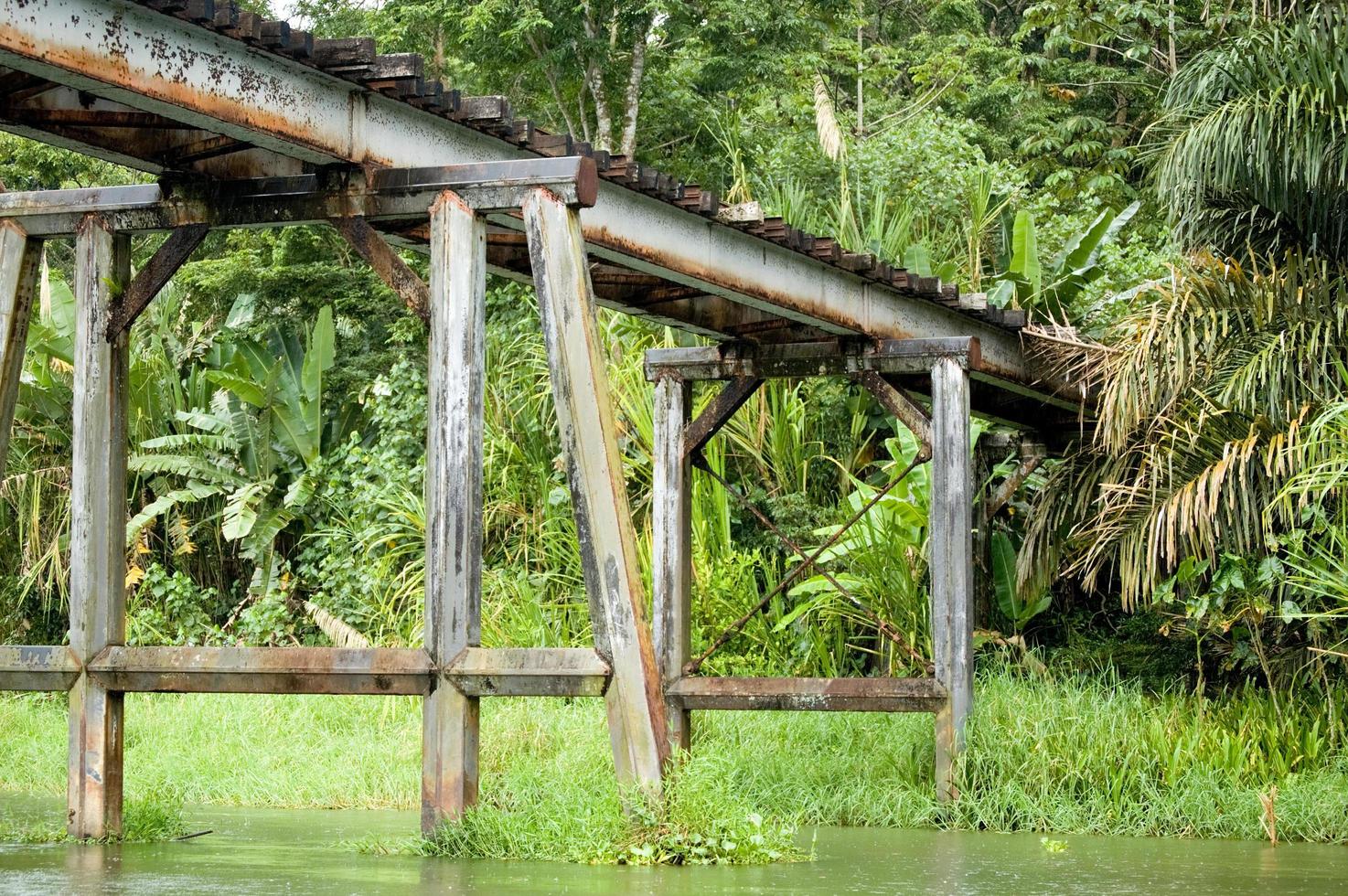 viejo puente de madera sobre un río en tortuguero, costa rica foto