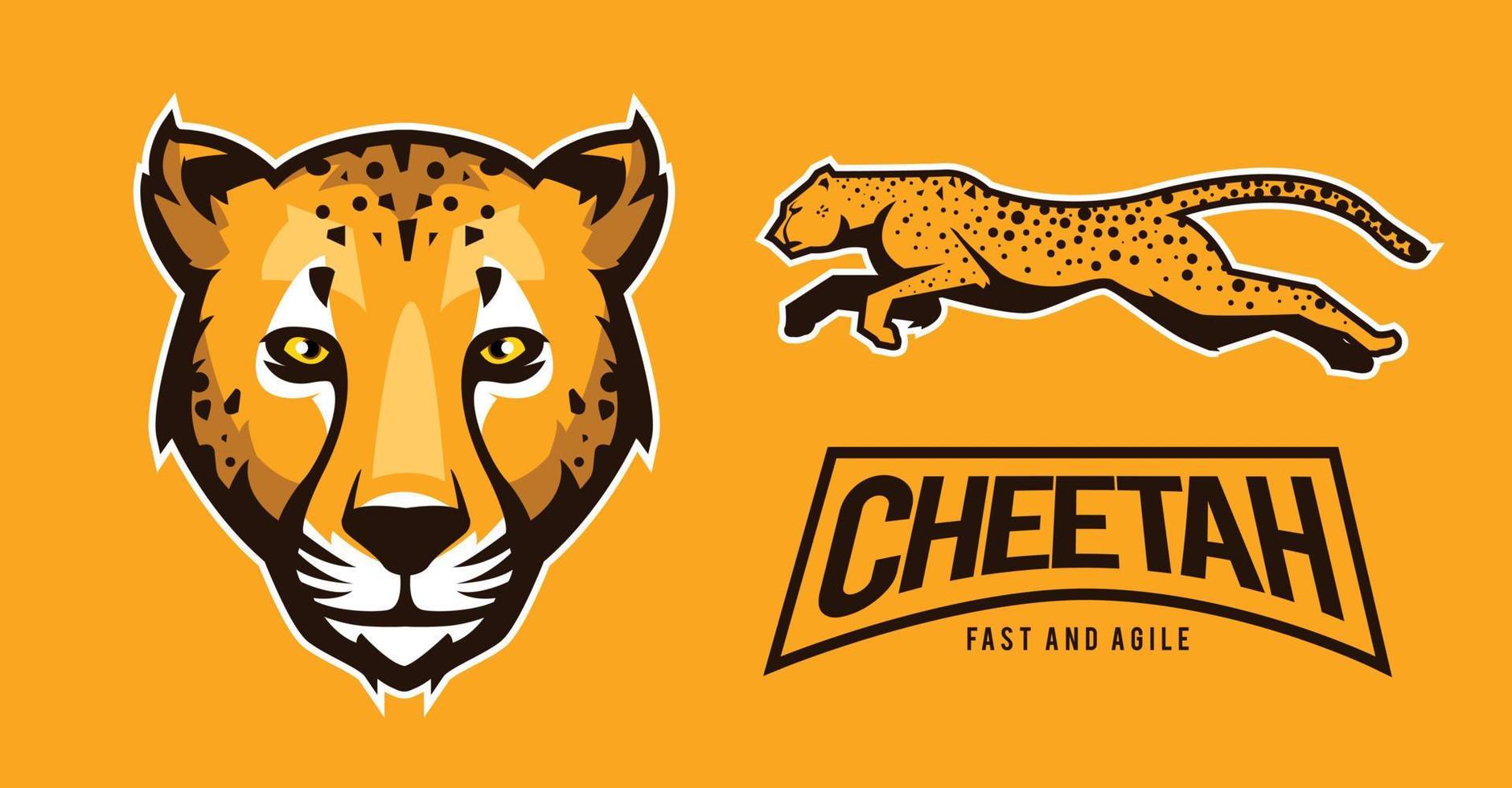 cheetah illustration for logo resource vector