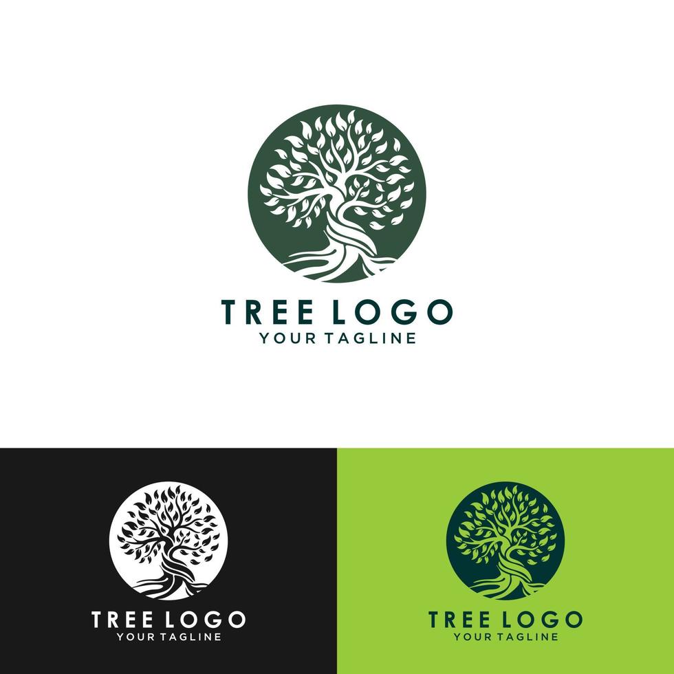 Abstract vibrant tree logo design, root vector - Tree of life logo design inspiration isolated on white background.