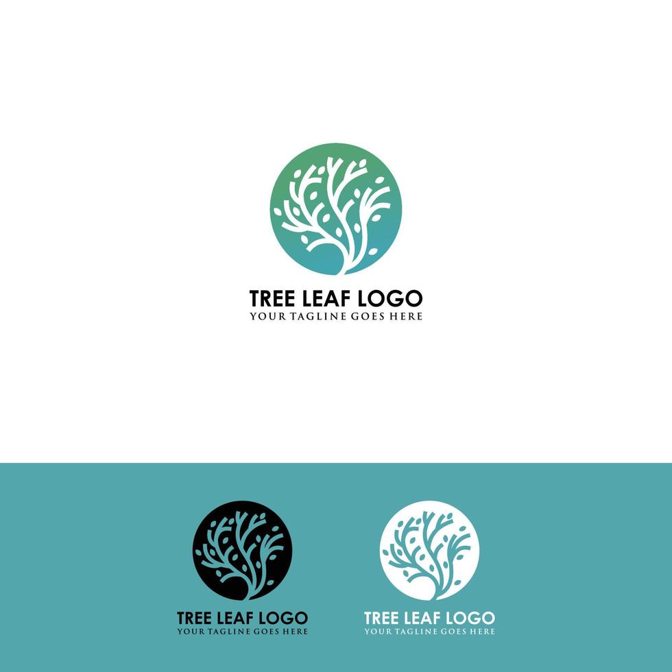 Leaf  Tree Logo Vector