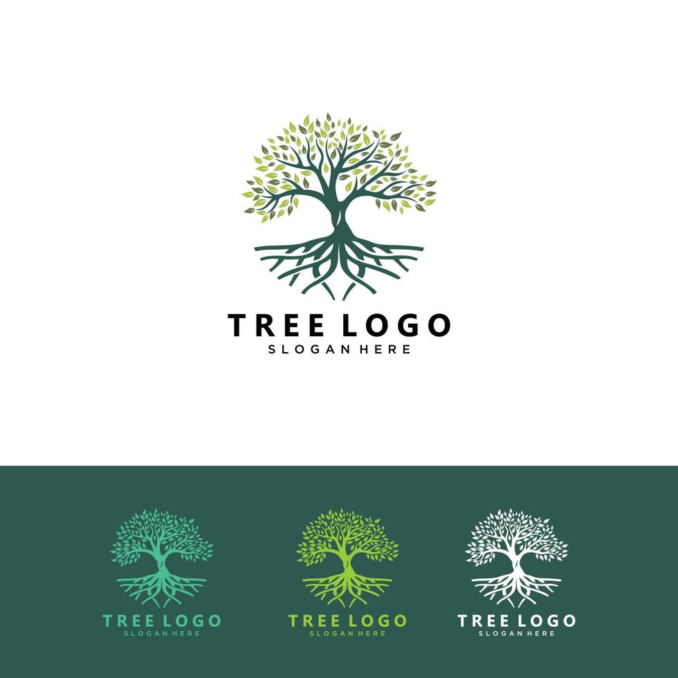 Abstract vibrant tree logo design, root vector - Tree of life logo design inspiration isolated on white background.