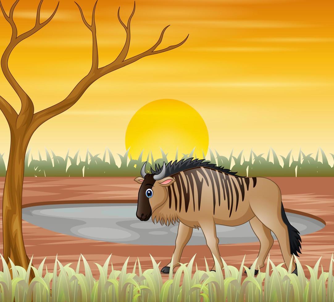 dibujos animados de animales bisontes en la tierra seca vector
