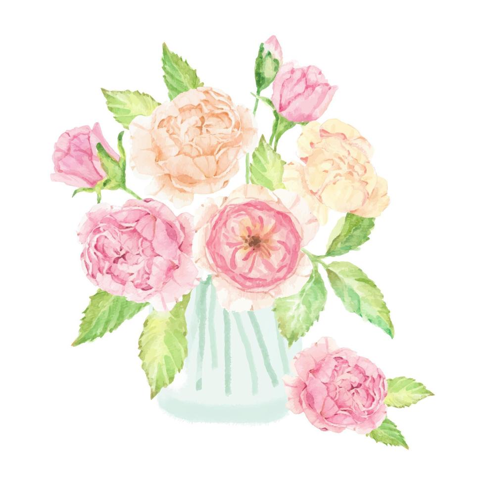 acuarela dibujada a mano rosa ramo de rosas inglesas en vidrio aislado sobre fondo blanco vector