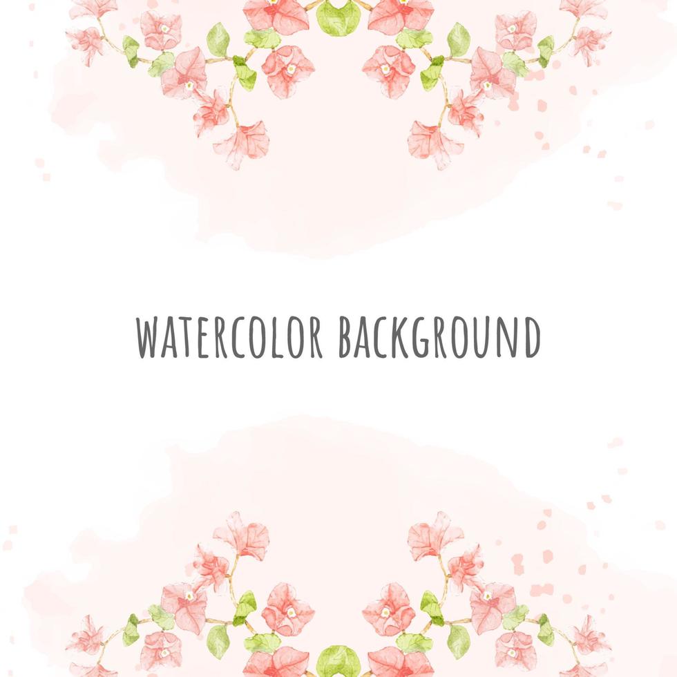 watercolor pink Bougainvillea on pink splash square banner background for wedding or birthday invitation card vector
