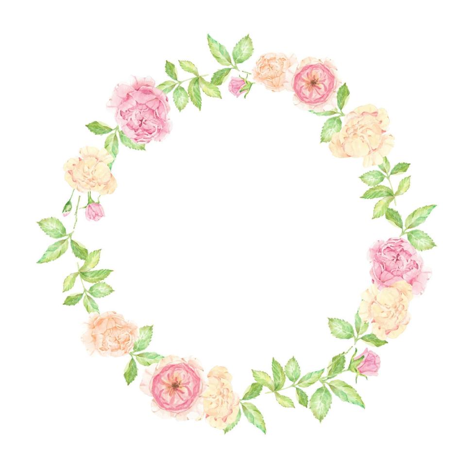 acuarela hermosa rosa inglesa ramo de flores marco de corona aislado sobre fondo blanco vector