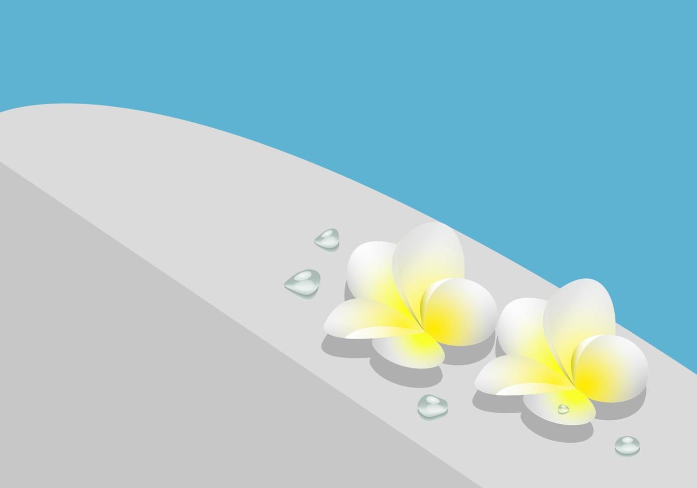 Plumeria flowers  by the pool vector