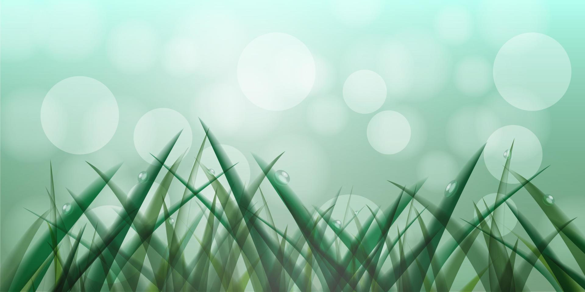 grass in droplets of morning dew vector