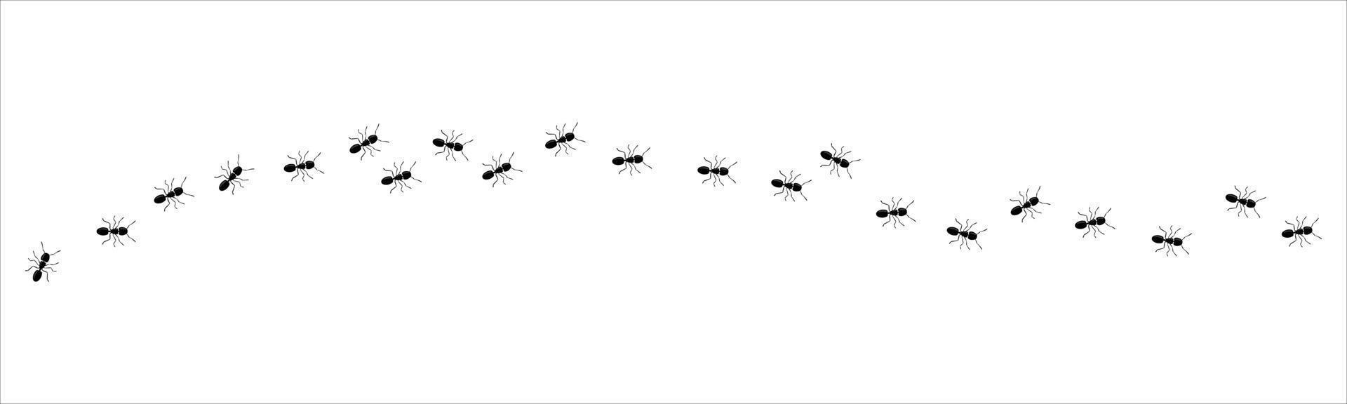 rastro de hormigas columna de hormigas viaje de siluetas de insectos negros. trabajo en equipo, concepto de trabajo duro. vector