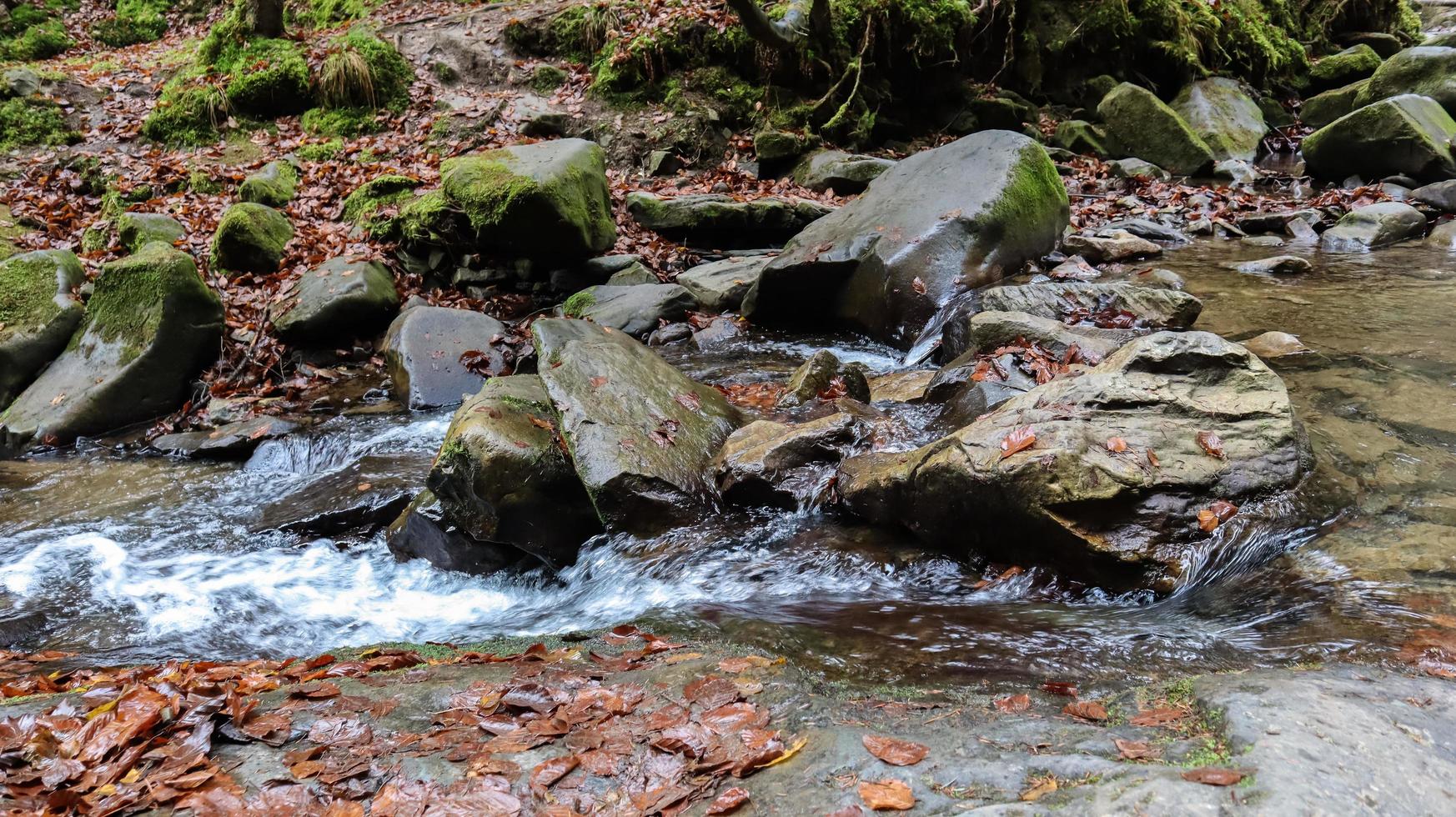 Landscape of a mountain river in the forest in early autumn and late summer. water in a natural stream. beautiful and relaxing forest with a river. River deep in mountain forest. Nature composition. photo