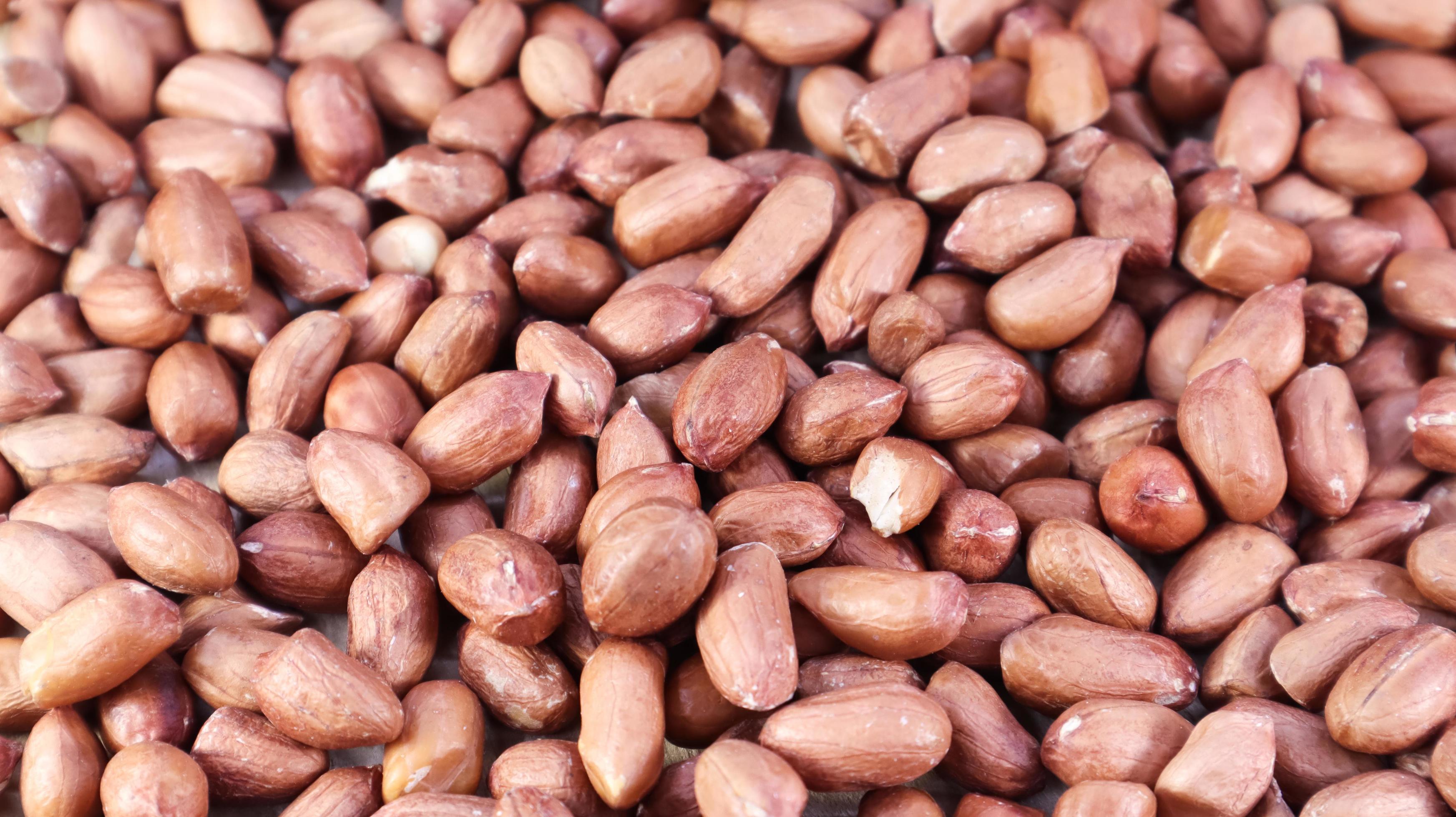 Heap of raw peanuts. Cultivated peanuts, underground or groundnuts. Plant of the legume family