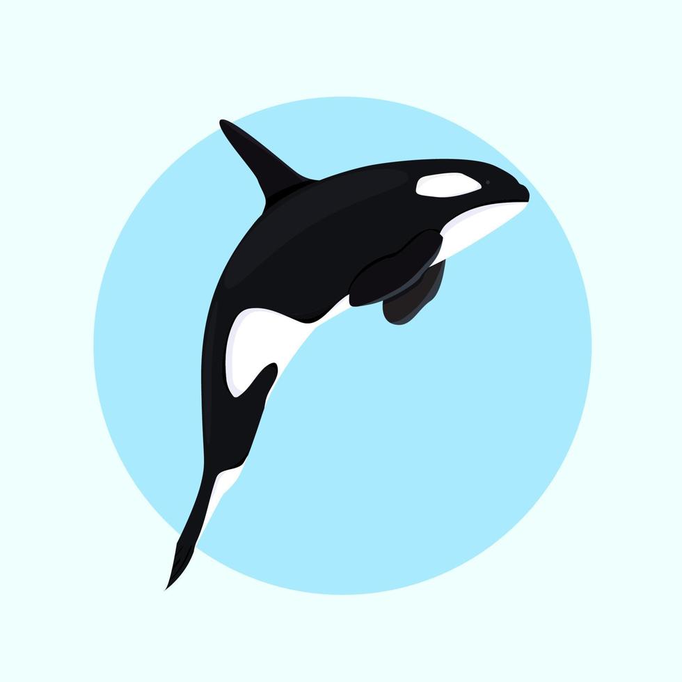 ballena asesina, orca diseño plano vector