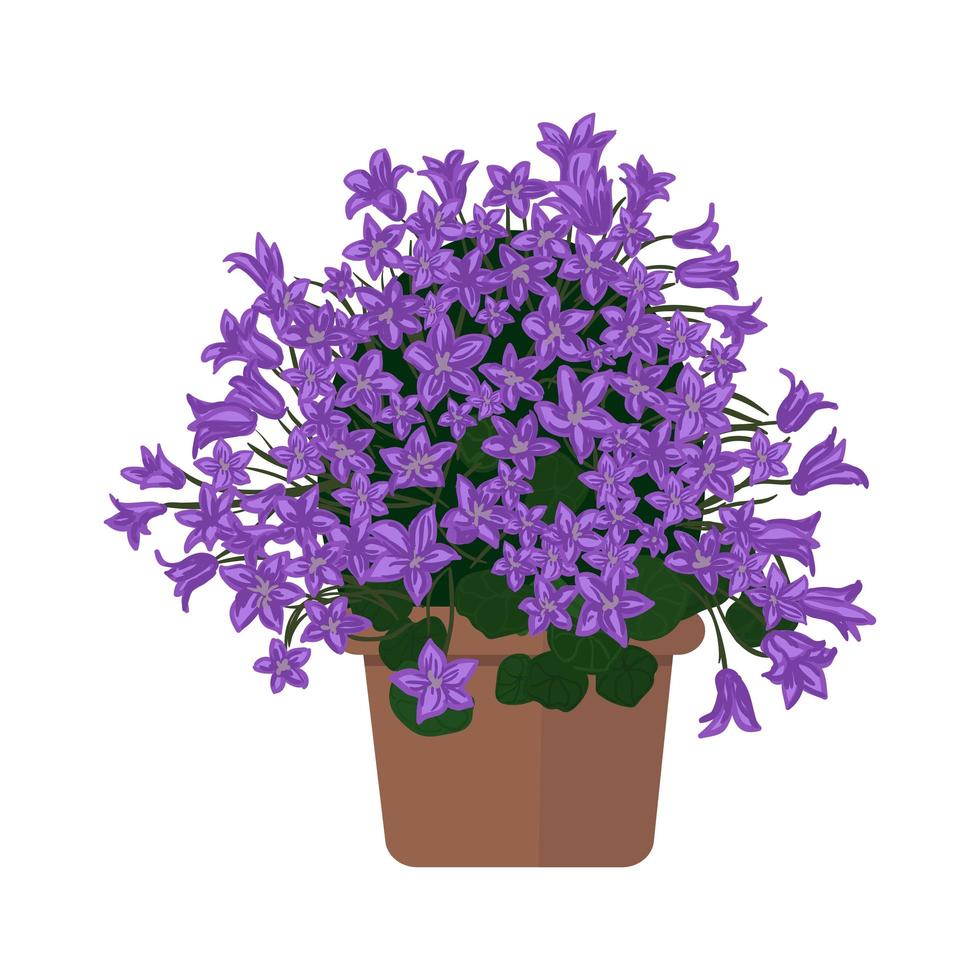Illustration of Blooming Flowers Pot vector