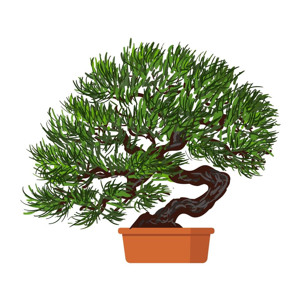 Bonsai Dwarf Tree in Pot vector