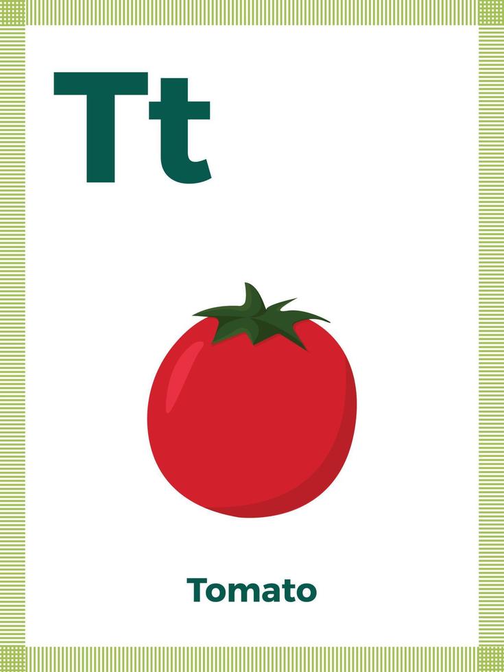 Alphabet card with letter T for children. Learning English vocabulary. Vector illustration