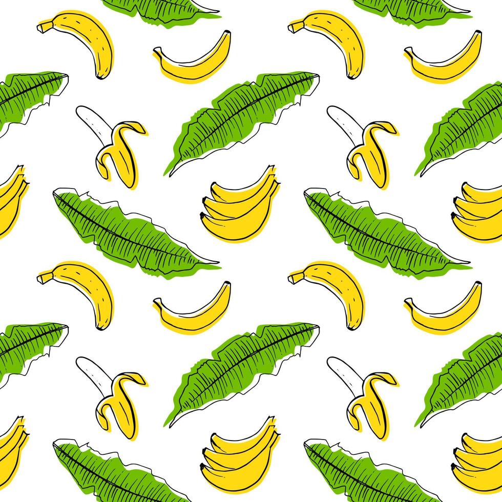 Hand drawn fruits banana set with color shapes vector illustration isolated on white background. Whole, parts, leaves and brunches sketch style collection. Fresh and tasty.