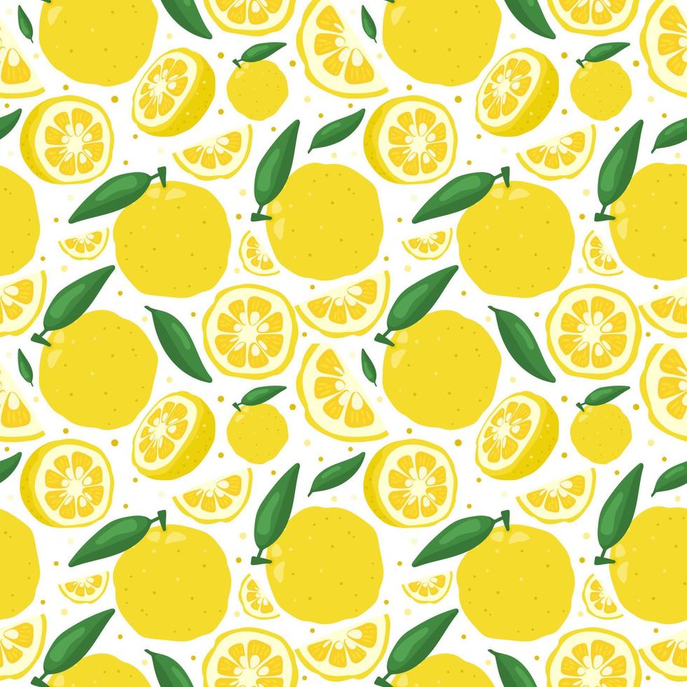 Yuzu japanese citron fruit seamless pattern vector illustration isolated on white background.
