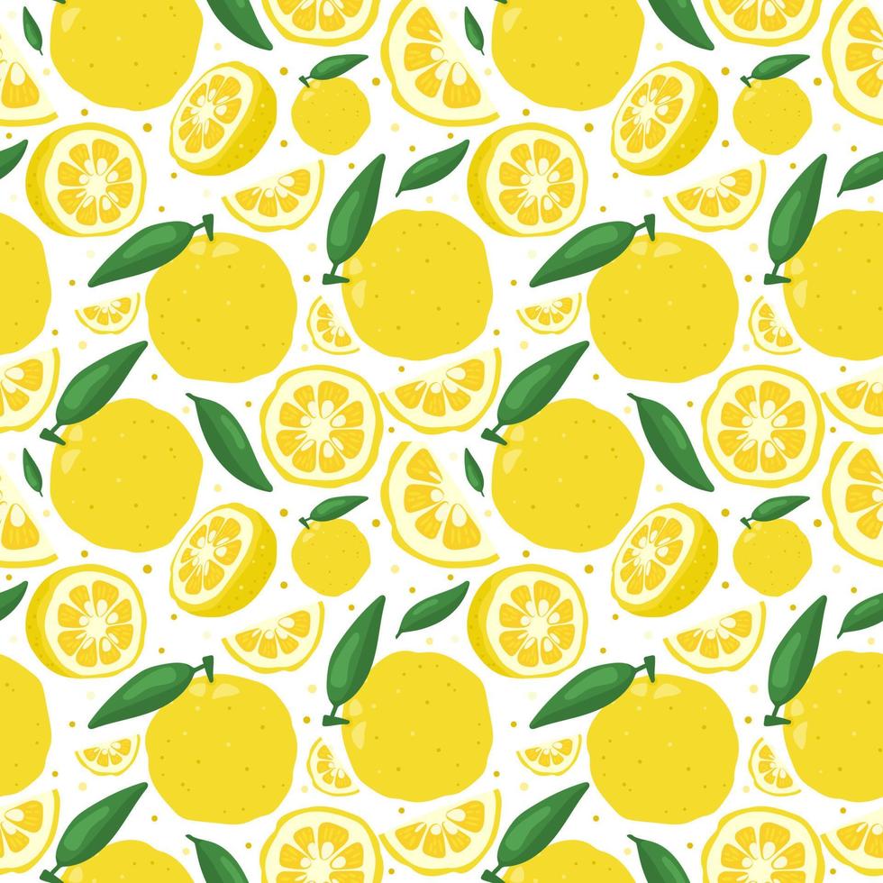 Yuzu japanese citron fruit seamless pattern vector illustration isolated on white background.