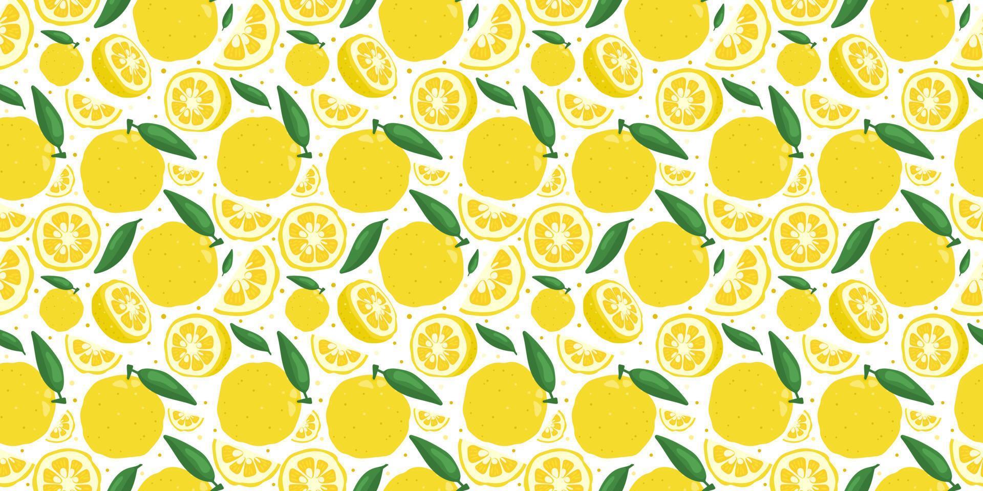 Yuzu japanese citron fruit seamless pattern vector illustration isolated on white background.