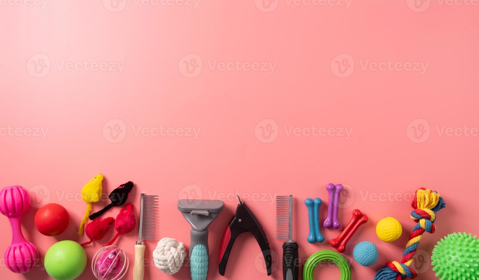 Pet care concept, various pet accessories on pink background with copy space, flat lay photo