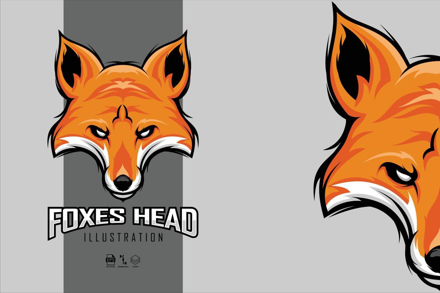 FOXES HEAD ILLUSTRATION WITH A GRAY BACKGROUND.eps vector