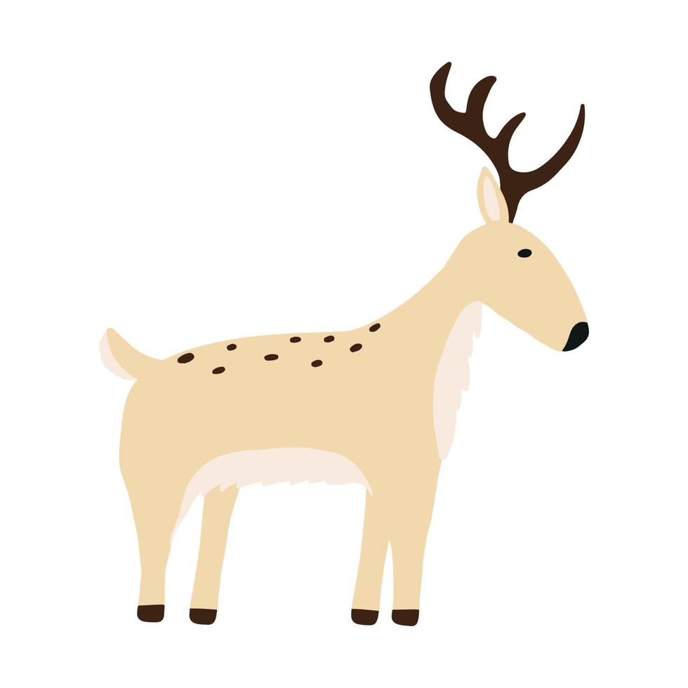 Childrens illustration of reindeer isolated on white white background. Cute hand drawn reindeer in cartoon style. vector