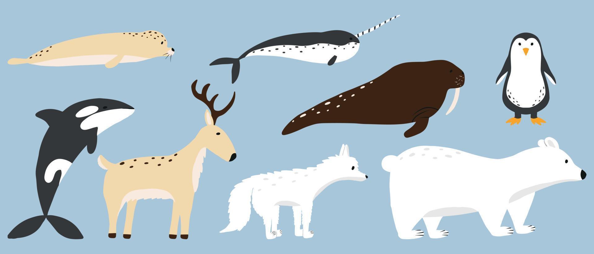 Vector illustration of cute arctic animals. Vector set of arctic animals.  Polar bear, reindeer, walrus, arctic fox, seal. 5561227 Vector Art at  Vecteezy