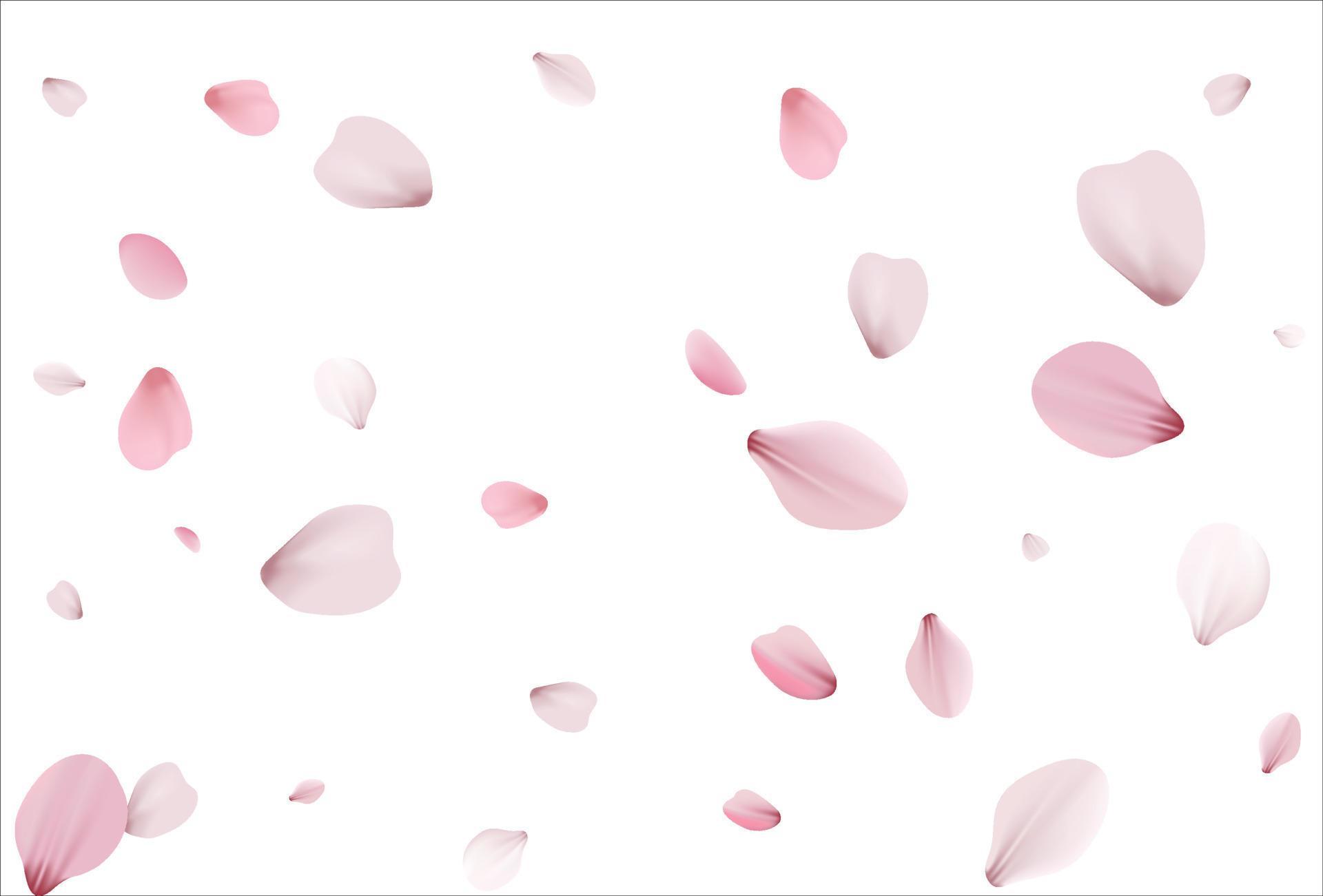 Sakura background, cherry vector background 5561447 Vector Art at Vecteezy