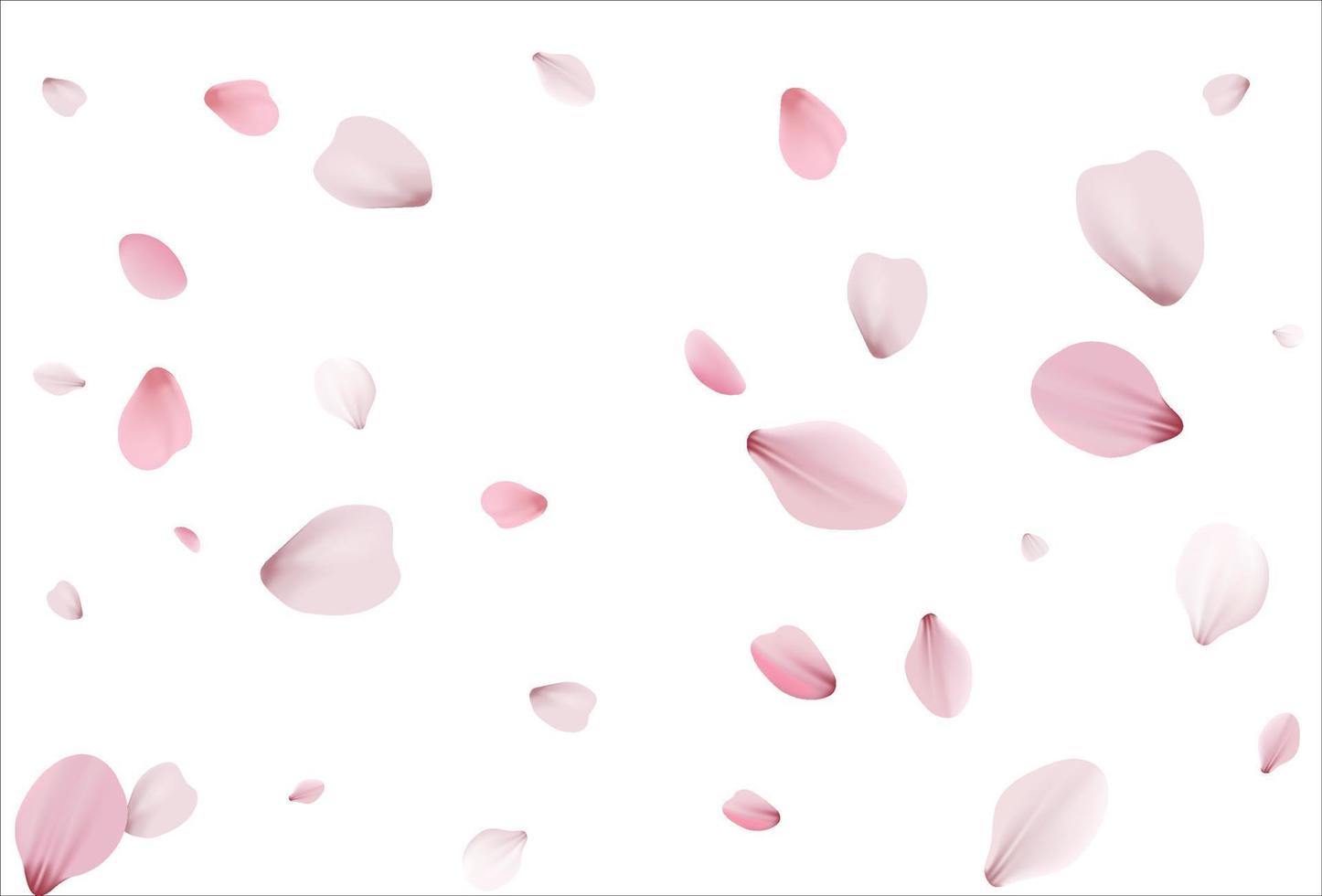 Sakura background, cherry vector background