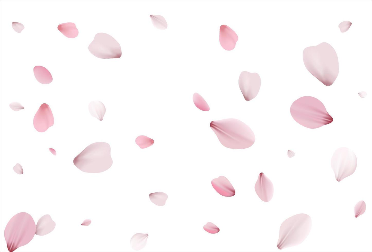 Sakura background, cherry vector background