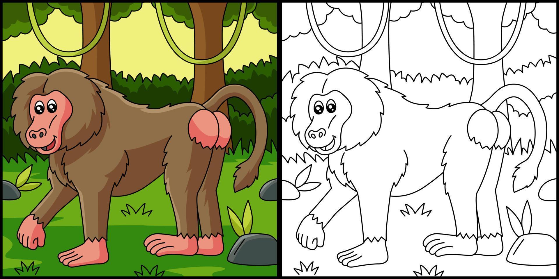 Baboon Coloring Page Vector Illustration