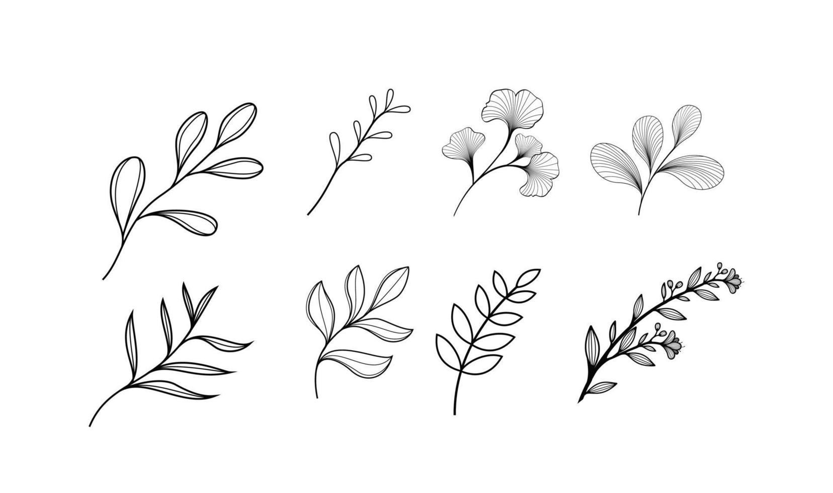 leaf natural line sketch graphic element. background, typography and