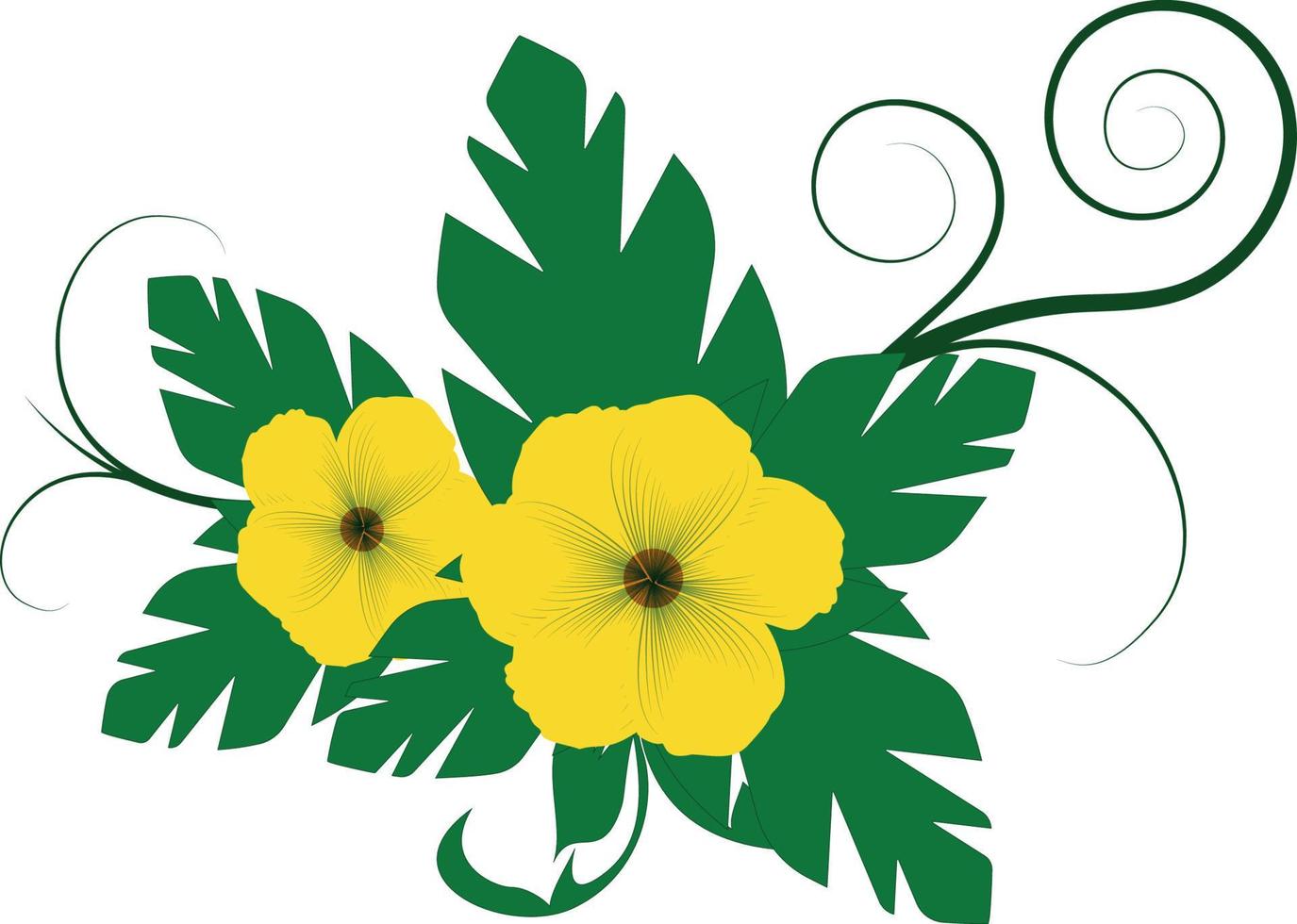 Yellow flower Hibiscus flower. Vector illustration.